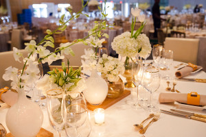 Ubuntu Awards Corporate Gala Dinner 2017 - CTICC - Sorrento Events
